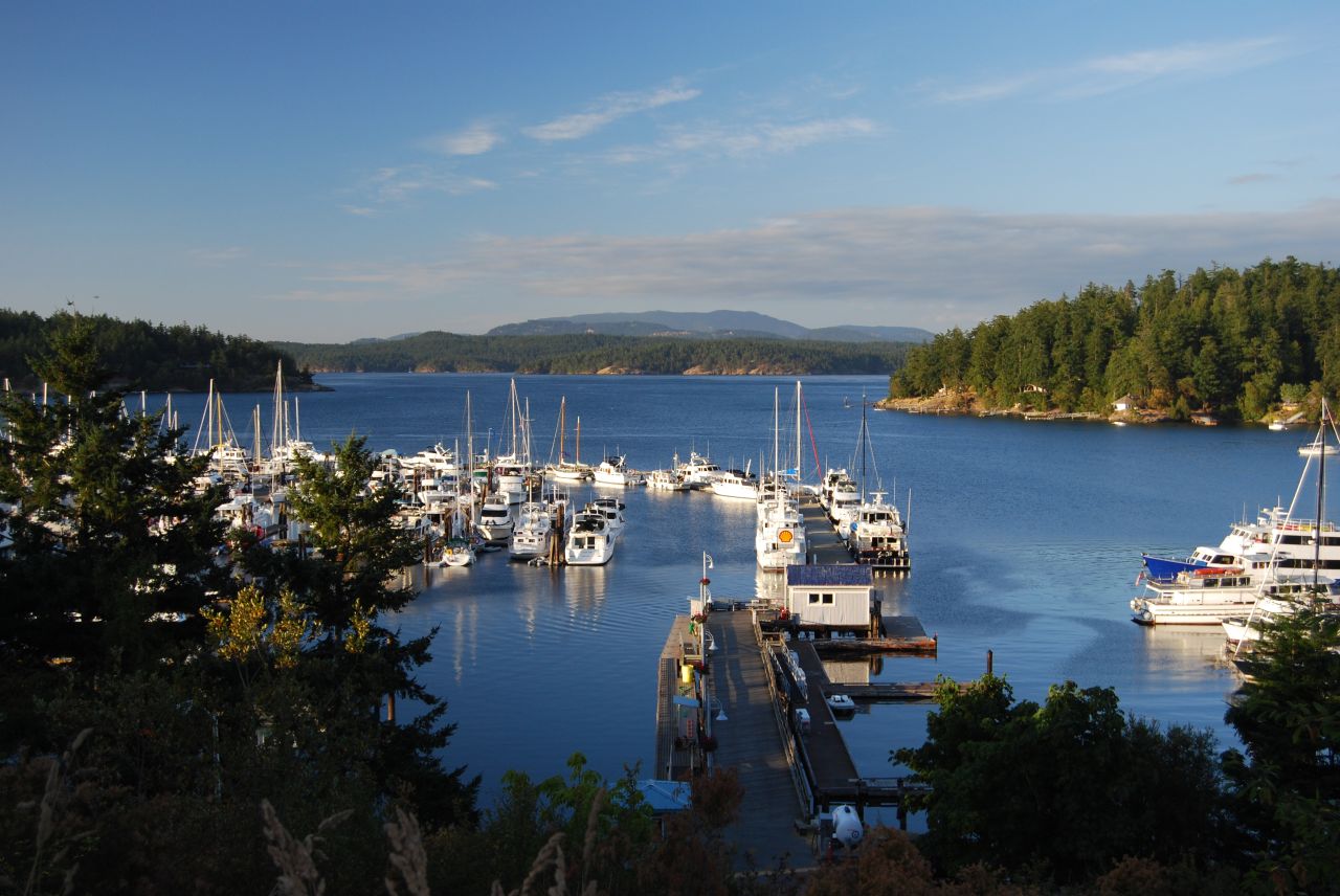Things To Do In Friday Harbor During Our Deluxe Whale Watching Tour