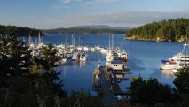 san juan cruises deluxe whale watching tour friday harbor
