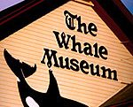 whalemuseum